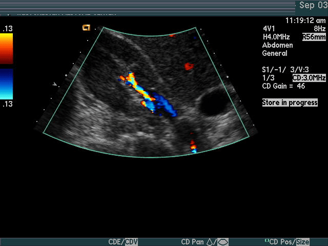 Ultrasound teaching files